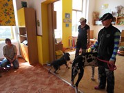 Bezpečný pes - kynologie